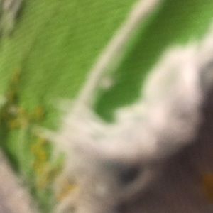 Meet your Posher, Cj